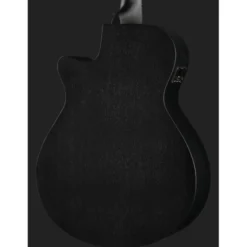 Ibanez AEG1221-BOT