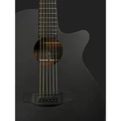 Ibanez AEG1221-BOT