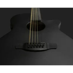 Ibanez AEG1221-BOT