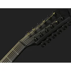 Ibanez AEG1221-BOT