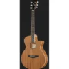 Ibanez AEG7MH-OPN