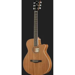 Ibanez AEG7MH-OPN