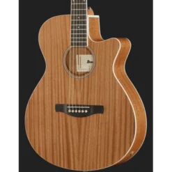 Ibanez AEG7MH-OPN