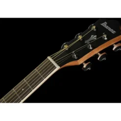 Ibanez AEG7MH-OPN