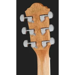 Ibanez AEG7MH-OPN