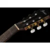 Ibanez AEG50N-BKH Nylon