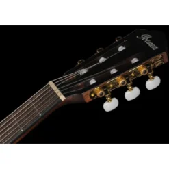 Ibanez AEG50N-BKH Nylon