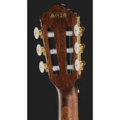 Ibanez AEG50N-BKH Nylon
