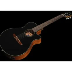 Ibanez AEG50N-BKH Nylon