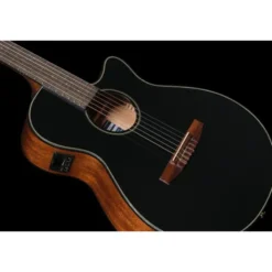 Ibanez AEG50N-BKH Nylon
