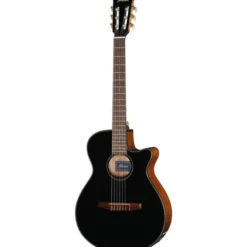 Ibanez AEG50N-BKH Nylon