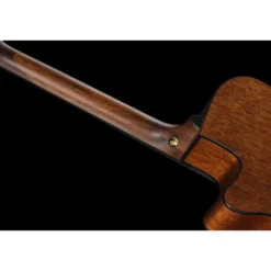 Ibanez AEG50N-BKH Nylon