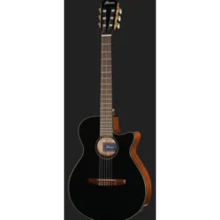 Ibanez AEG50N-BKH Nylon