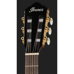 Ibanez AEG50N-BKH Nylon