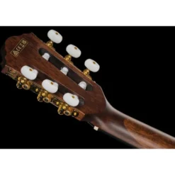 Ibanez AEG50N-BKH Nylon