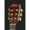 Ibanez AEG50N-NT Nylon