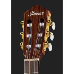 Ibanez AEG50N-NT Nylon