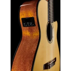 Ibanez AEG50N-NT Nylon