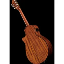 Ibanez AEG50N-NT Nylon