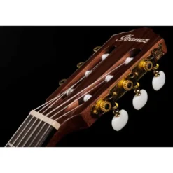 Ibanez AEG50N-NT Nylon