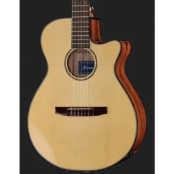 Ibanez AEG50N-NT Nylon