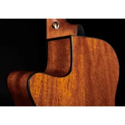 Ibanez AEG50N-NT Nylon