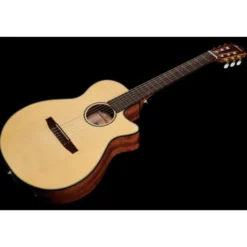 Ibanez AEG50N-NT Nylon