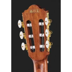 Ibanez AEG50N-NT Nylon