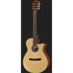 Ibanez AEG50N-NT Nylon
