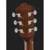 Ibanez AE245-NT