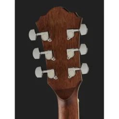 Ibanez AE245-NT