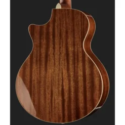 Ibanez AE245-NT