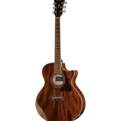 Ibanez AE245-NT
