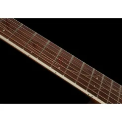 Ibanez AE245-NT