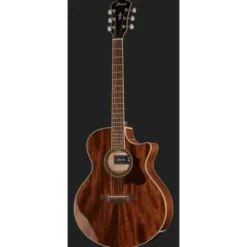 Ibanez AE245-NT