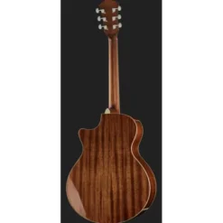 Ibanez AE245-NT