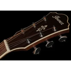 Ibanez AE245-NT