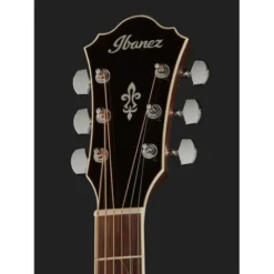 Ibanez AE245-NT