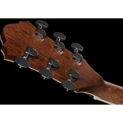 Ibanez AE245-NT