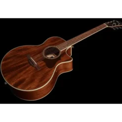 Ibanez AE245-NT