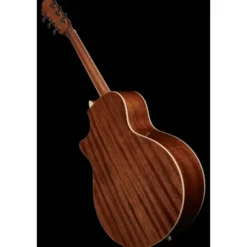 Ibanez AE245-NT