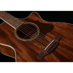 Ibanez AE245-NT