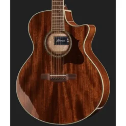 Ibanez AE245-NT