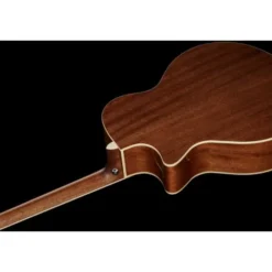 Ibanez AE245-NT