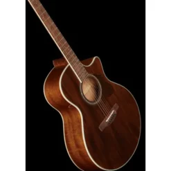 Ibanez AE245-NT