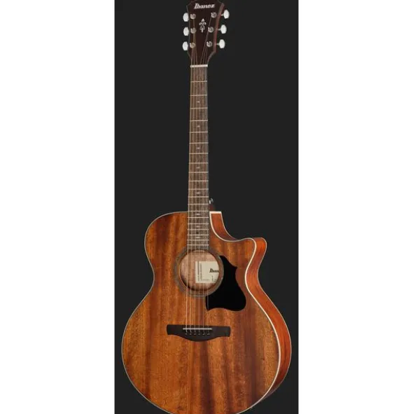 Ibanez AE140-OPN