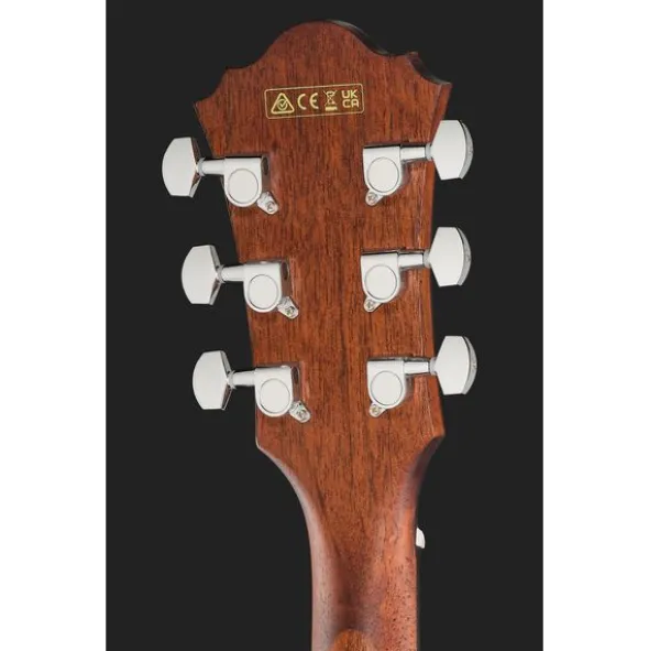 Ibanez AE140-OPN