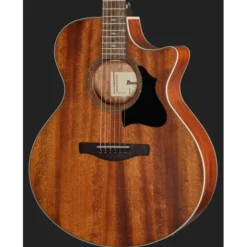 Ibanez AE140-OPN