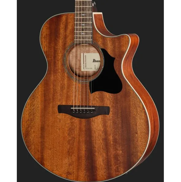 Ibanez AE140-OPN