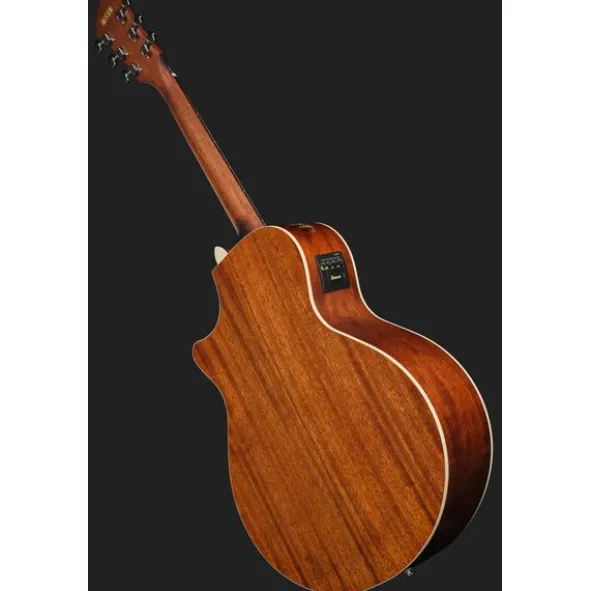 Ibanez AE140-OPN